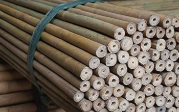 Garden Bamboo Supplier in UAE ( Garden Bamboo Supplier in Dubai Nad Al Hammar )