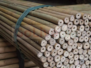 Bamboo Fencing panels in UAE ( Bamboo Fencing panels Supplier in Dubai Al Twar )