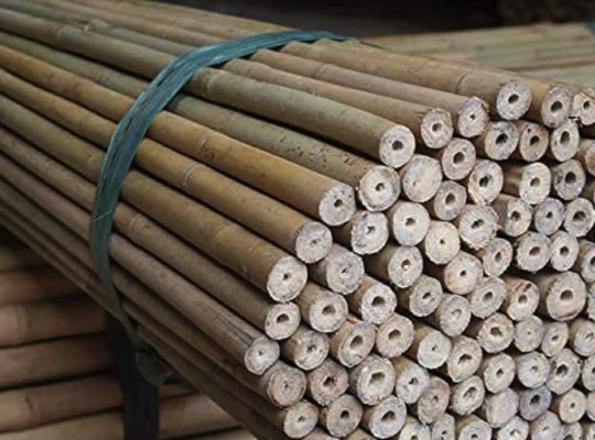 Bamboo Sticks in UAE ( Bamboo Sticks supplier in Dubai Umm Hurair )