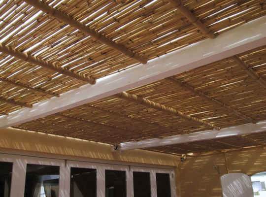 Bamboo Sticks in UAE ( Bamboo Sticks supplier in Dubai Trade Centre )