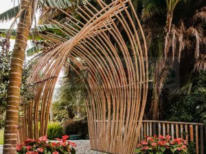 Garden Bamboo Supplier in UAE ( Garden Bamboo Supplier in Dubai Dubai Investment Park )