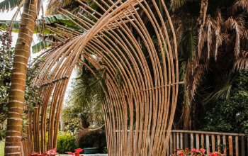 Bamboo Poles in UAE ( Bamboo Poles in Dubai Nad Al Hammar )