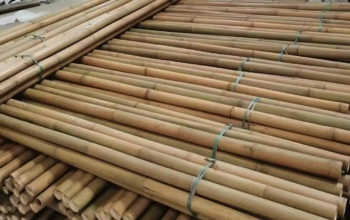 Bamboo Poles in UAE ( Bamboo Poles in Dubai Jabal Ali )