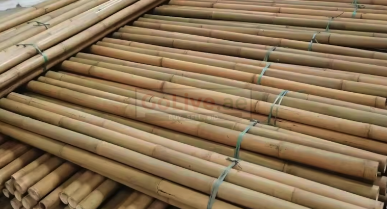 Bamboo supplier in Bahrain ( Bamboo supplier in Manama Wadiyan )