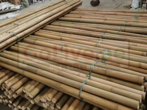 Bamboo supplier in Bahrain ( Bamboo supplier in Manama Bani Jamra )