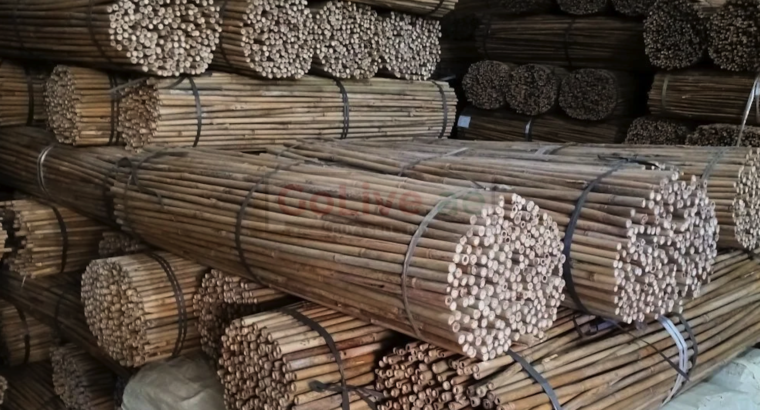 Bamboo Sticks in Bahrain ( Bamboo Sticks in Manama )