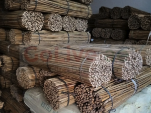 Natural Bamboo Supplier in Bahrain ( Natural Bamboo Supplier in Manama Wadiyan )