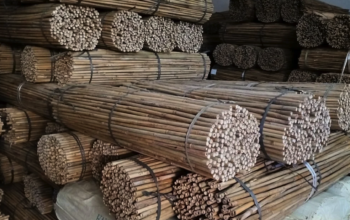 Bamboo supplier in UAE ( Bamboo supplier in Dubai Umm Suqeim )