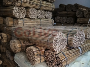 Bamboo Sticks in UAE ( Bamboo Sticks supplier in Dubai )