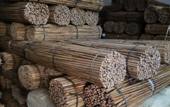 Bamboo Sticks in UAE ( Bamboo Sticks supplier in Dubai )