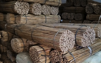 Bamboo Sticks in UAE ( Bamboo Sticks supplier in Dubai Al Manara )