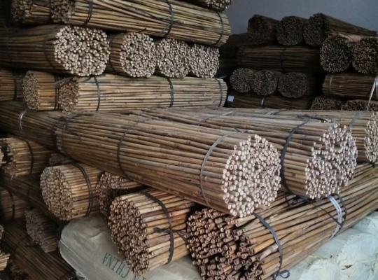 Bamboo supplier in UAE ( Bamboo supplier in Abu Dhabi Al Ain )