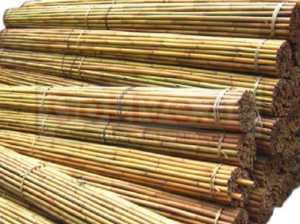Bamboo Sticks in Bahrain ( Bamboo Sticks in Muharraq Arad )