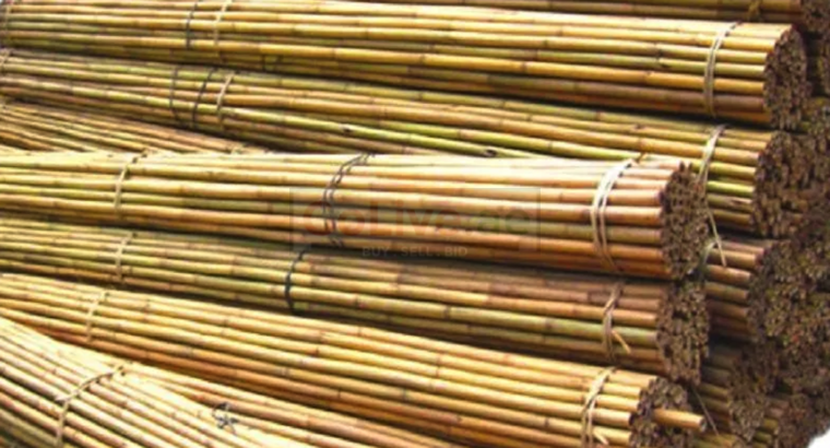 Bamboo supplier in Bahrain ( Bamboo supplier in Manama Salmabad )