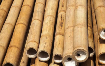 Bamboo Sticks in UAE ( Bamboo Sticks supplier in Dubai Al Quoz )
