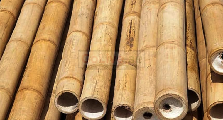 Bamboo Sticks in UAE ( Bamboo Sticks supplier in Dubai Al Quoz )
