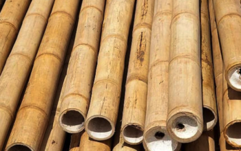 Bamboo Poles in UAE ( Bamboo Poles in Dubai Downtown Dubai )