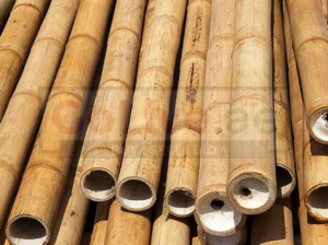 Bamboo Poles in UAE ( Bamboo Poles in Dubai Al Quoz Third )