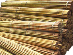 Bamboo Poles in UAE ( Bamboo Poles in Dubai Ras Al Khor )