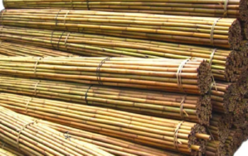 Bamboo Poles in UAE ( Bamboo Poles in Dubai Investment Park )