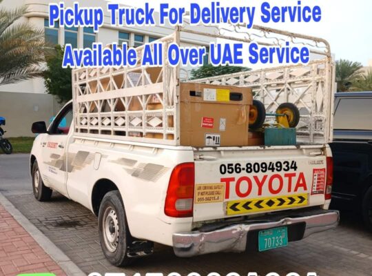 Movers and packers in Dubai Sports City 0568094934