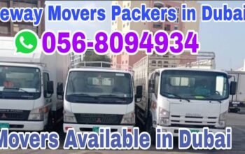 Cheap Movers packers in Dubai investment Park 0568094934