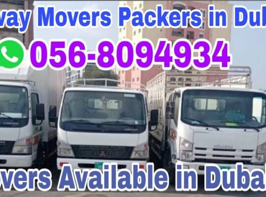 Cheap Movers packers in Dubai investment Park 0568094934