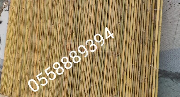 Thicker bamboo fence