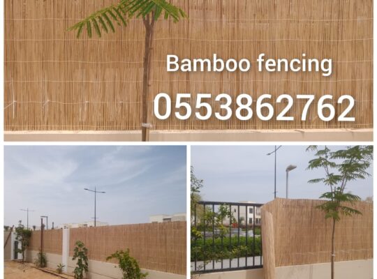 Iranian Bamboo Fence Dubai wholesale and retail