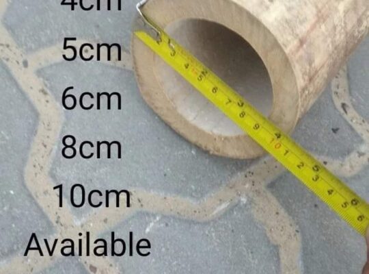 Bamboo Poles Trading
