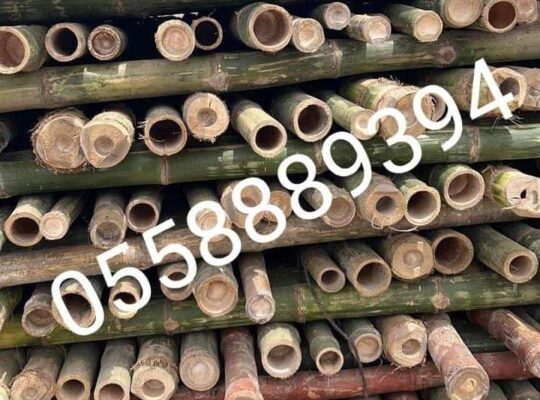 Bamboo Poles Trading
