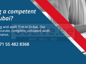 Audit Firms in Dubai