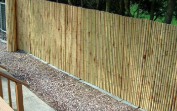 Bamboo Fencing in Oman ( Bamboo Fencing in Oman Sur )