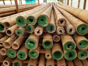 Bamboo Poles in Oman ( Bamboo Poles in Oman Mutrah )