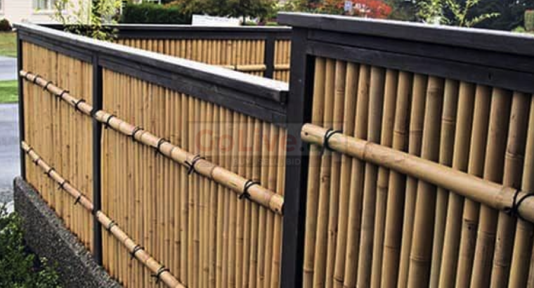 Bamboo Sticks in Oman ( Bamboo Sticks in Oman Nizwa )