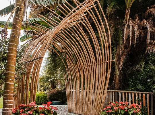 Bamboo Fencing in Oman ( Bamboo Fencing in Oman Mutrah )