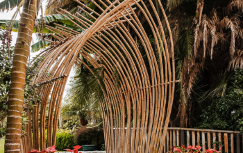 Bamboo Fencing in Oman ( Bamboo Fencing in Oman Saham )