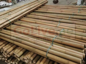 Bamboo Poles in Oman ( Bamboo Poles in Oman Quriyat )