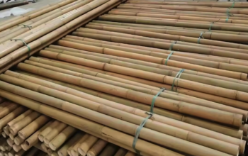 Bamboo Poles in Oman ( Bamboo Poles in Oman Quriyat )