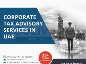 Corporate Tax Advisory and Consulting services