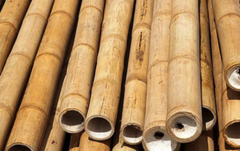 Bamboo Poles in Oman ( Bamboo Poles in Oman Mutrah )