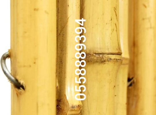 Thicker bamboo fence