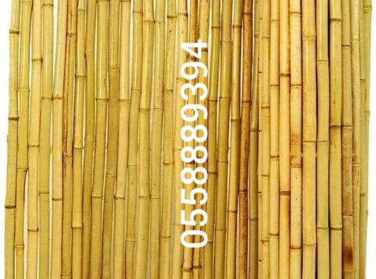 Thicker bamboo fence