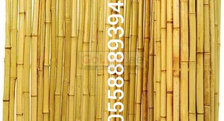 Thicker bamboo fence