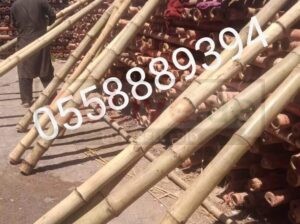 Bamboo Poles Trading