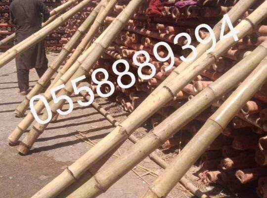 Bamboo Poles Trading