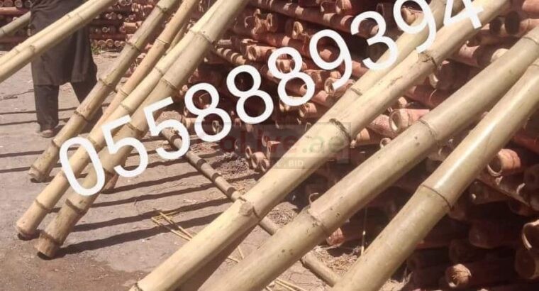 Bamboo Poles Trading