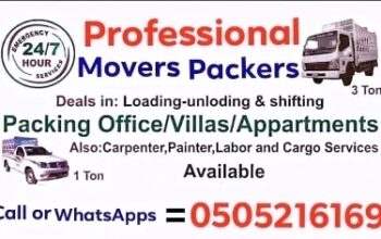 Professional Movers And Packers In Dubai Any Place