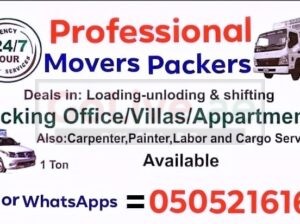 Professional Movers And Packers In Dubai Any Place