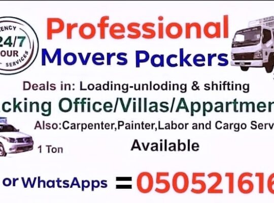 Professional Movers And Packers In Dubai Any Place